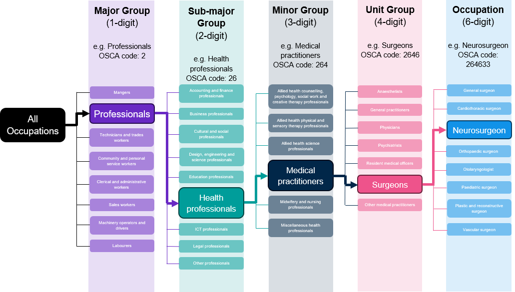 A flowchart showing the different hierarchy levels of OSCA. Major groups (example: professionals) start with a singe digit occupation code, before being specified into two digit sub-major groups (example: health professionals), and so on until a single occupation has a six digit occupation code (example: neurosurgeons). 