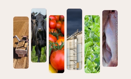 Food Supply Report release