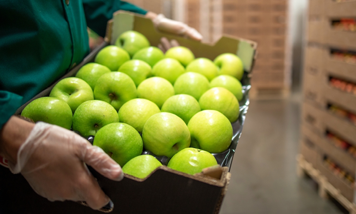 Crate of produce