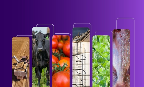 Food-related images on a purple background 